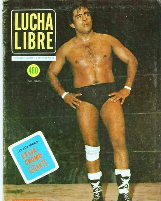 Lucha Libre Volume 460 Magazine PWcatalog