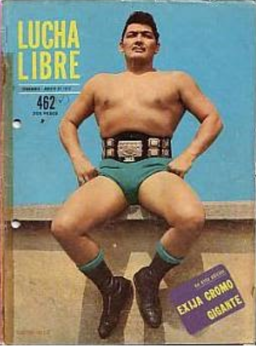 Lucha Libre Volume 462 Magazine PWcatalog
