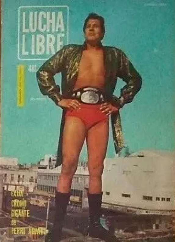 Lucha Libre Volume 482 Magazine PWcatalog