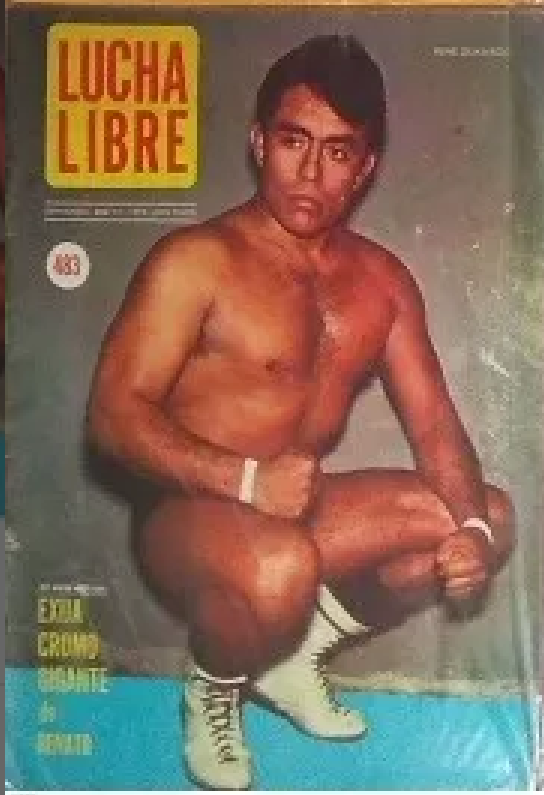 Lucha Libre Volume 483 Magazine PWcatalog