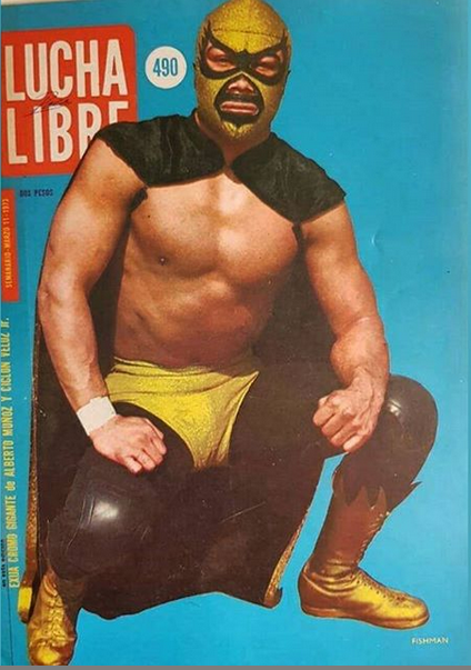 Lucha Libre Volume 490 Magazine PWcatalog