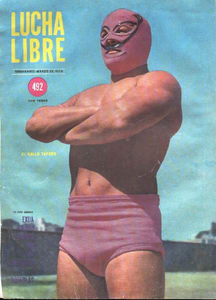 Lucha Libre Volume 492 Magazine PWcatalog