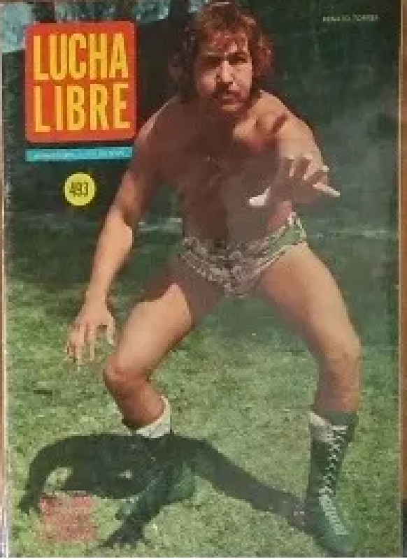 Lucha Libre Volume 493 Magazine PWcatalog