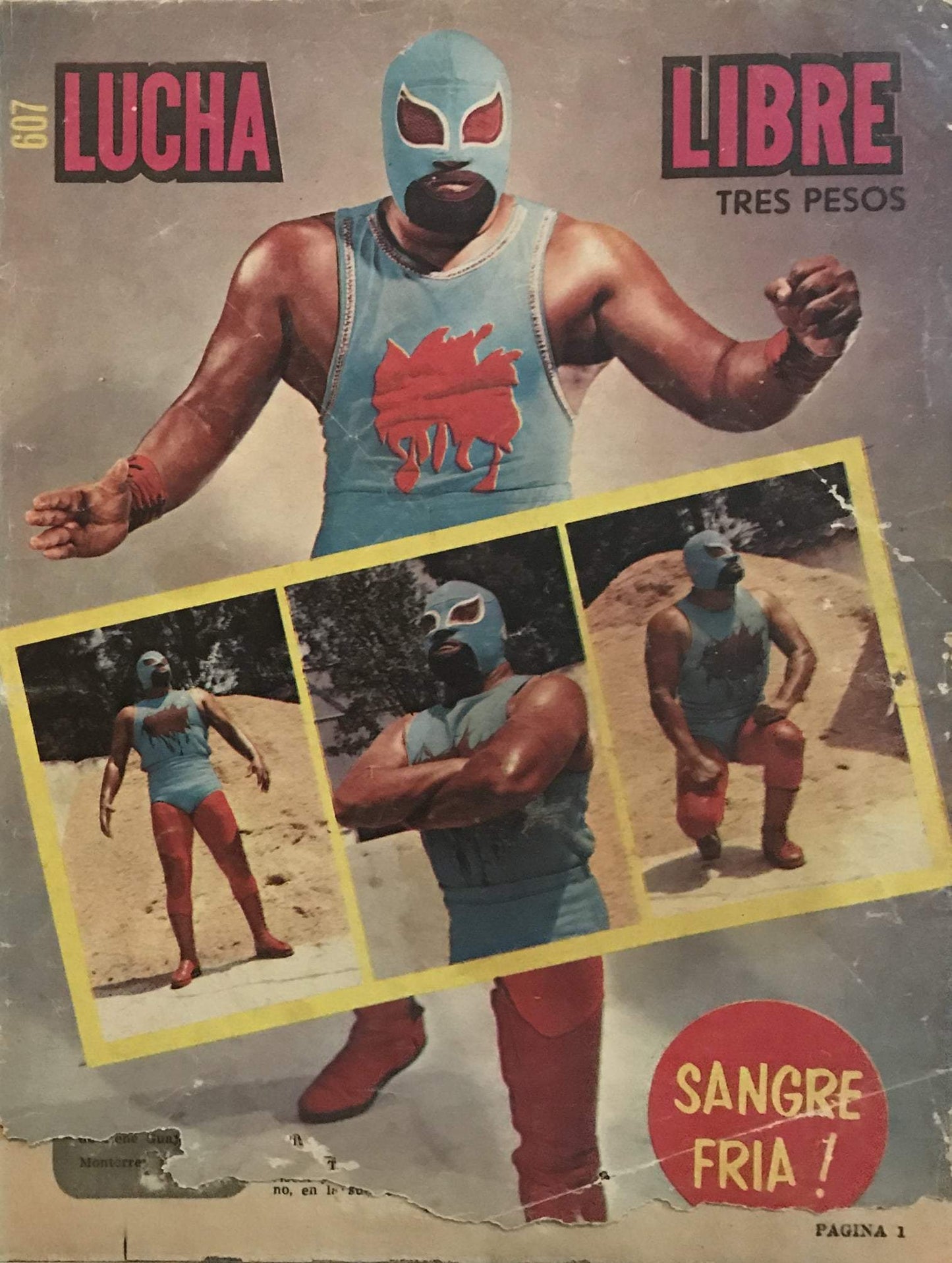 Lucha Libre Volume 607 Magazine PWcatalog