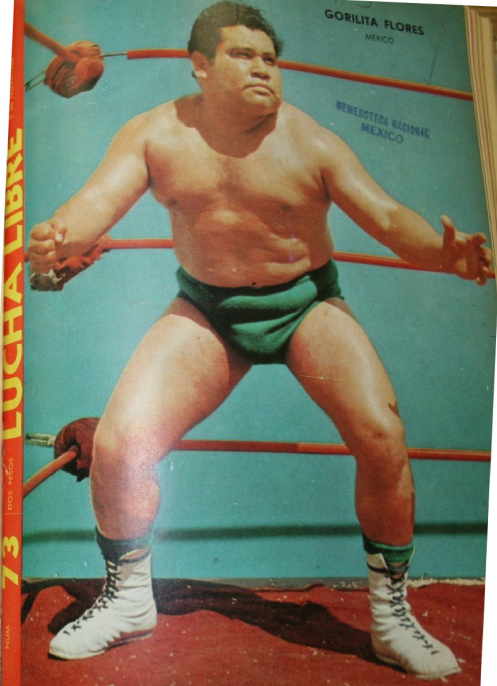 Lucha Libre Volume 73 Magazine PWcatalog