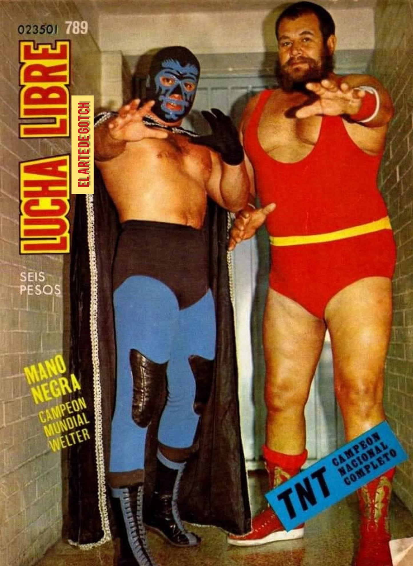 Lucha Libre Volume 789 Magazine PWcatalog