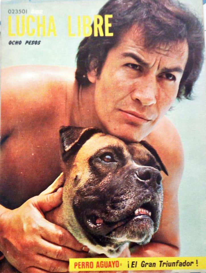 Lucha Libre Volume 802 Magazine PWcatalog