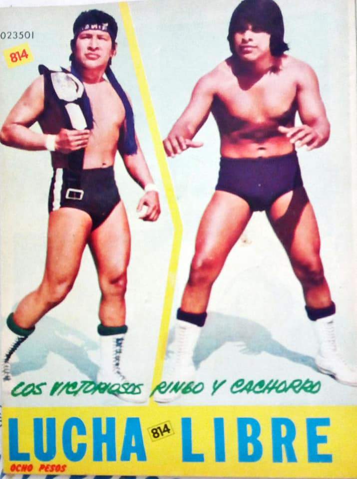 Lucha Libre Volume 814 Magazine PWcatalog