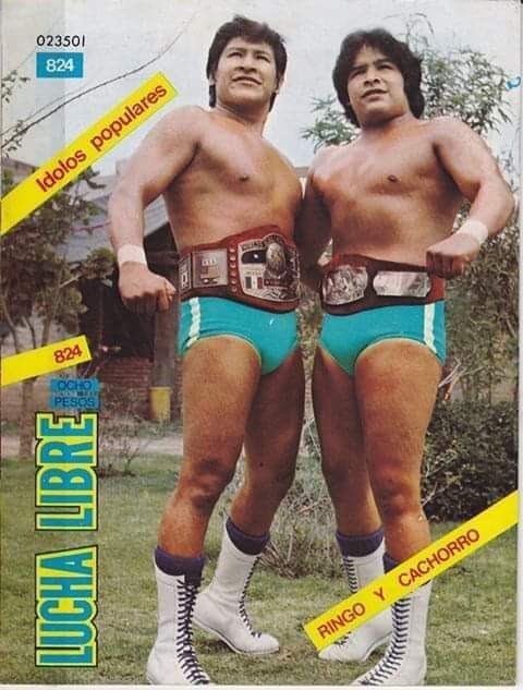 Lucha Libre Volume 824 Magazine PWcatalog