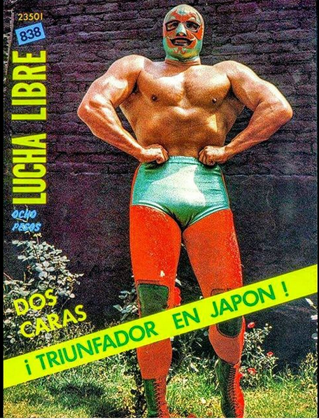 Lucha Libre Volume 838 Magazine PWcatalog