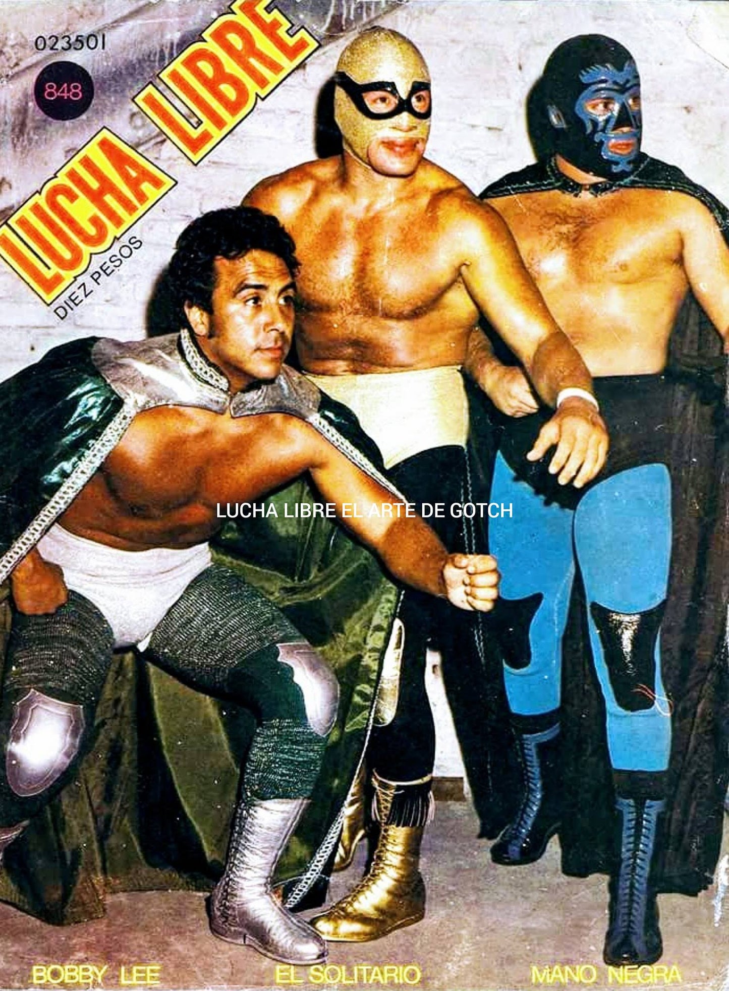 Lucha Libre Volume 848 Magazine PWcatalog
