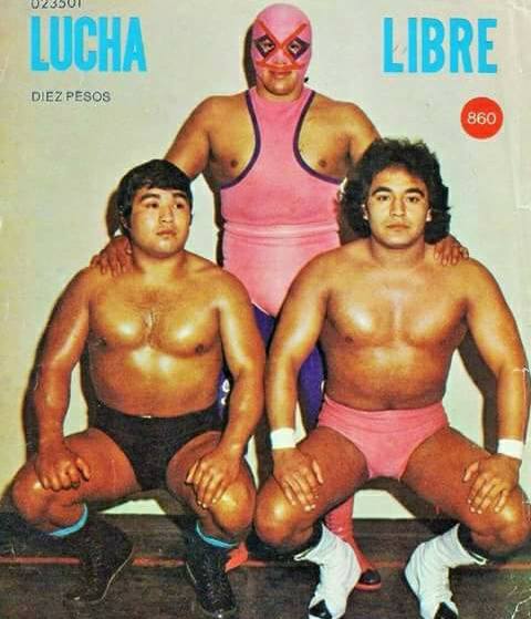 Lucha Libre Volume 860 Magazine PWcatalog