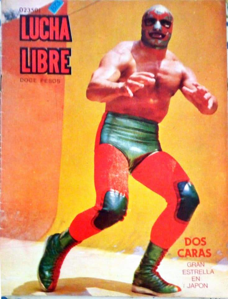 Lucha Libre Volume 873 Magazine PWcatalog