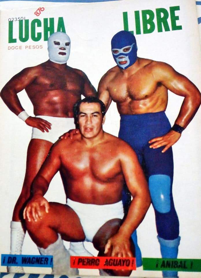 Lucha Libre Volume 876 Magazine PWcatalog