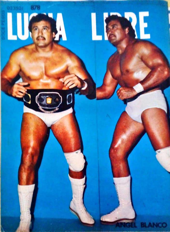 Lucha Libre Volume 878 Magazine PWcatalog