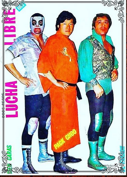 Lucha Libre Volume 882 Magazine PWcatalog