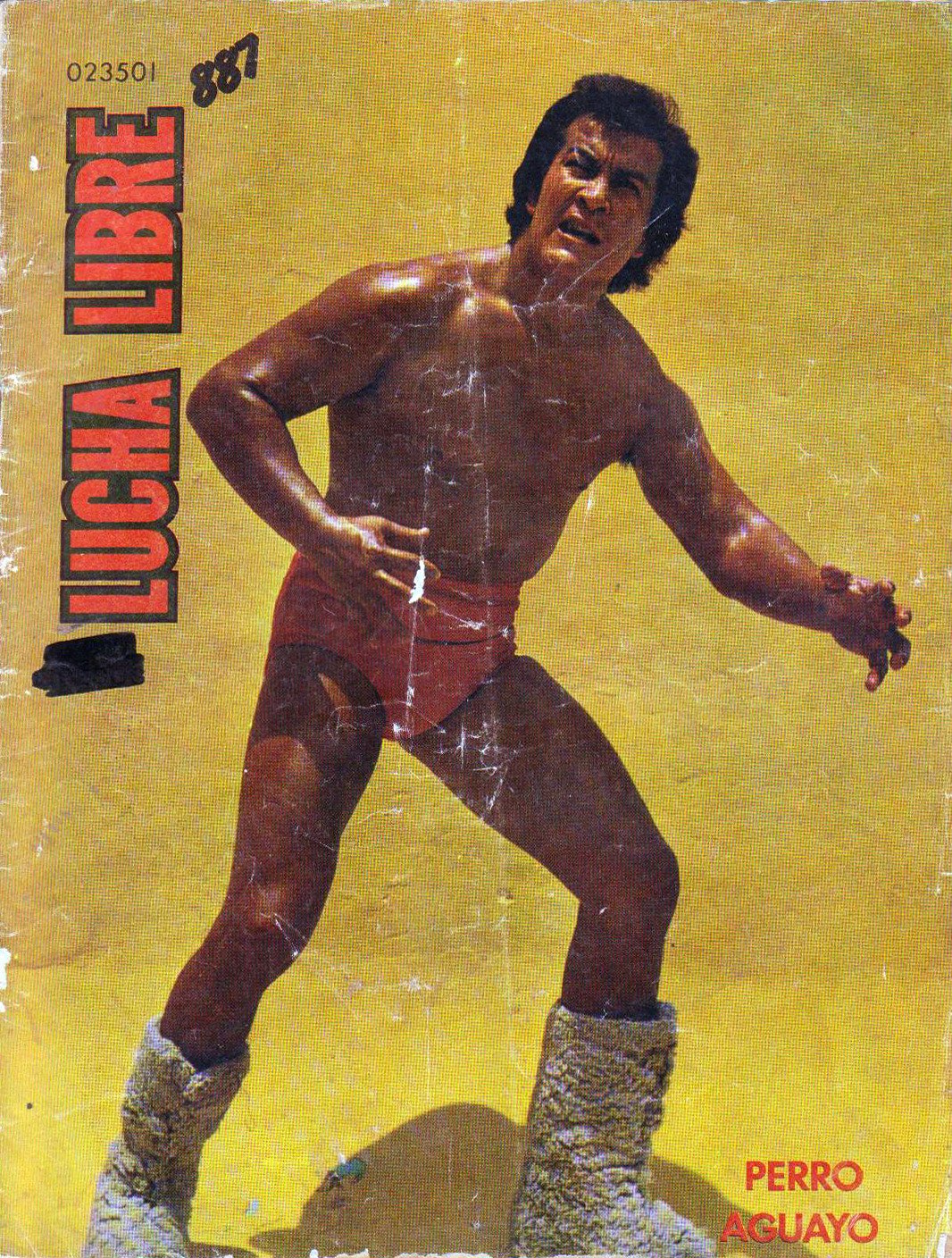 Lucha Libre Volume 887 Magazine PWcatalog