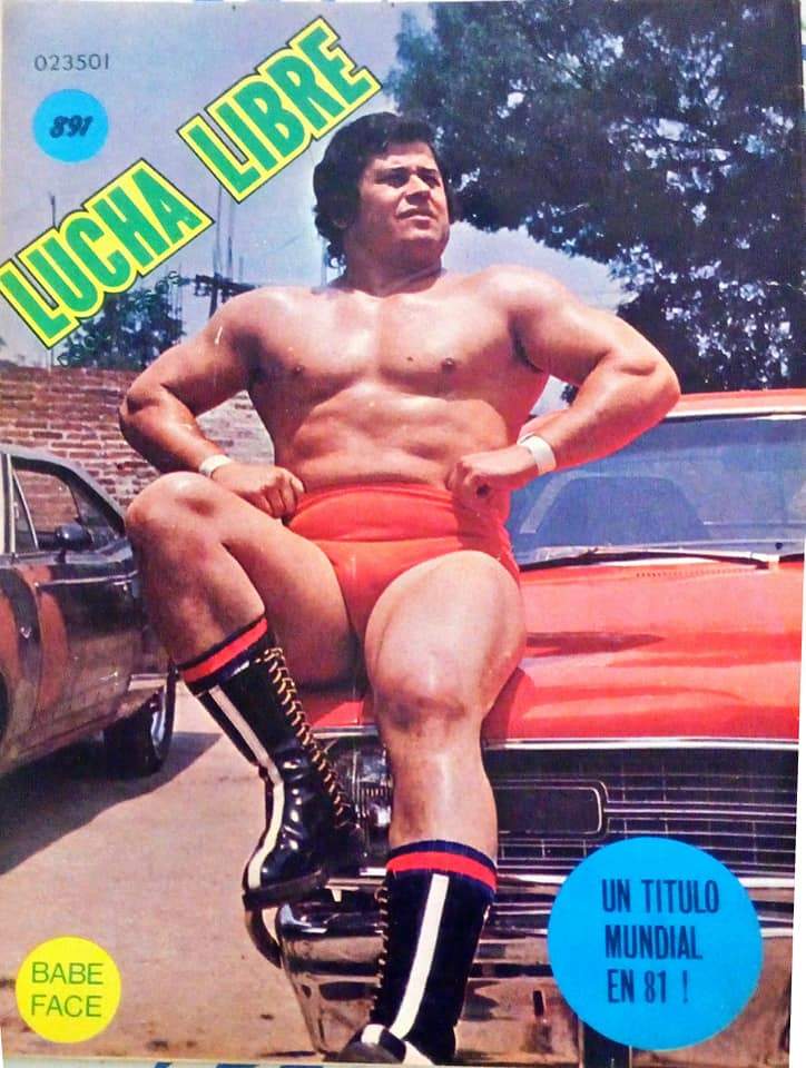 Lucha Libre Volume 891 Magazine PWcatalog