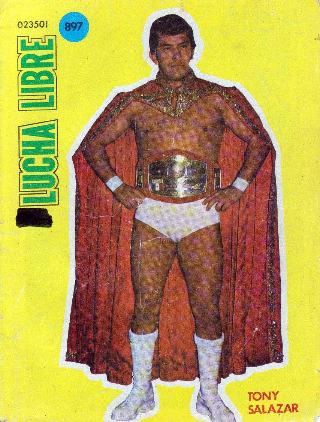 Lucha Libre Volume 897 Magazine PWcatalog