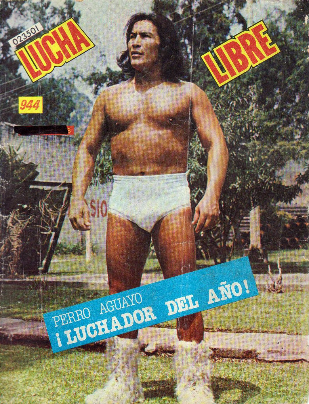 Lucha Libre Volume 944 Magazine PWcatalog
