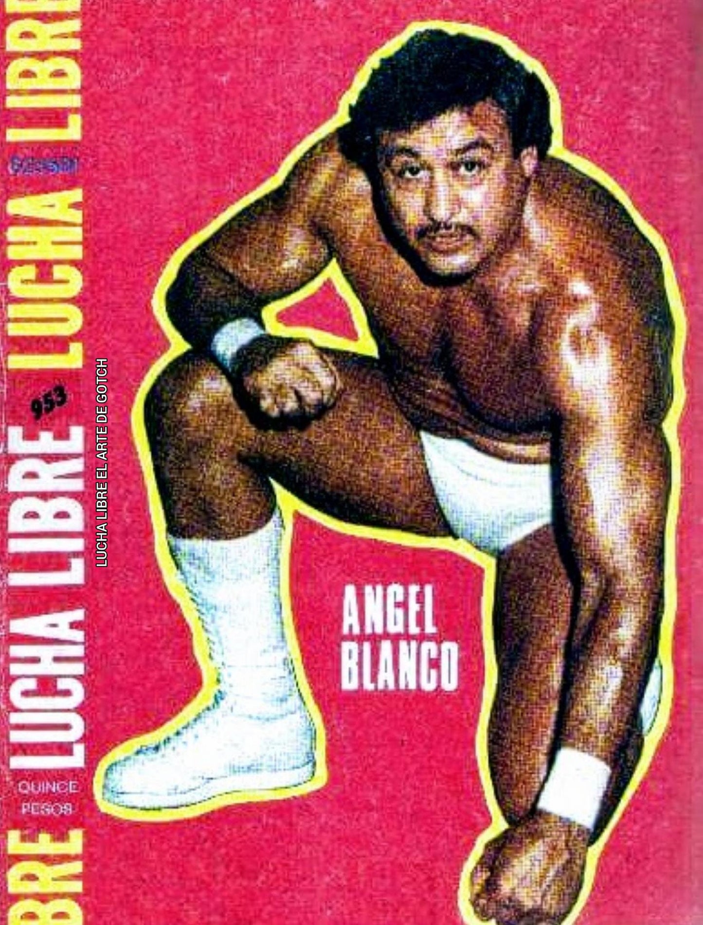Lucha Libre Volume 953 Magazine PWcatalog