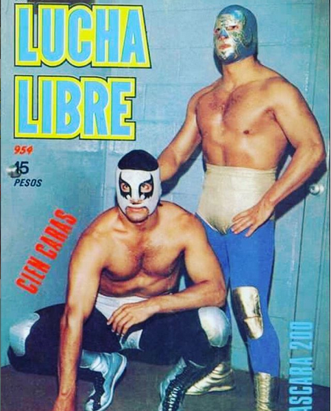Lucha Libre Volume 954 Magazine PWcatalog