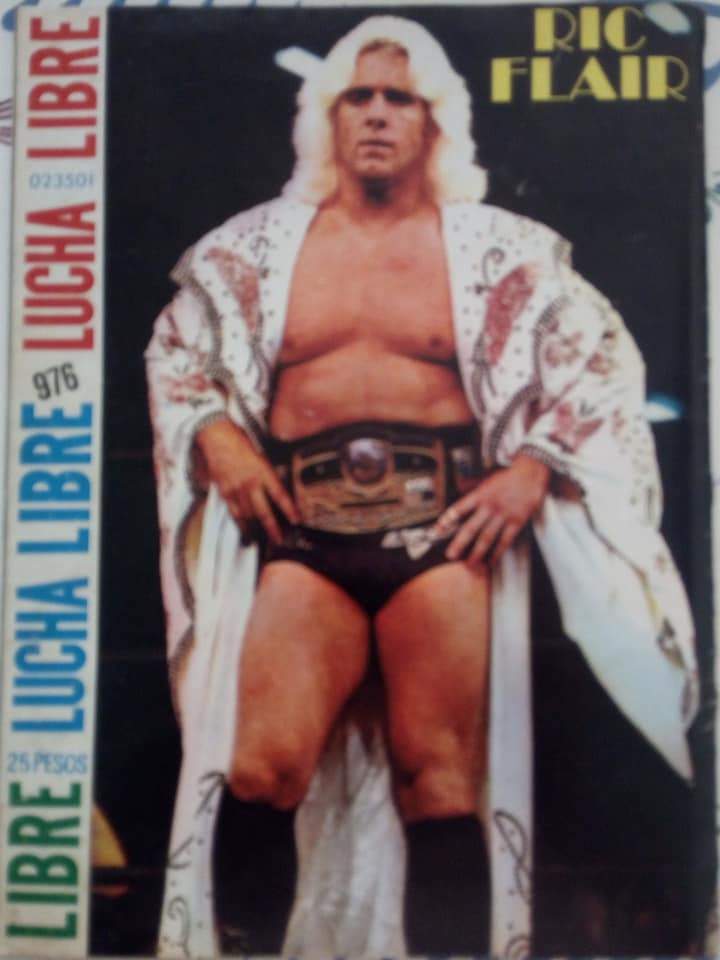 Lucha Libre Volume 976 Magazine PWcatalog