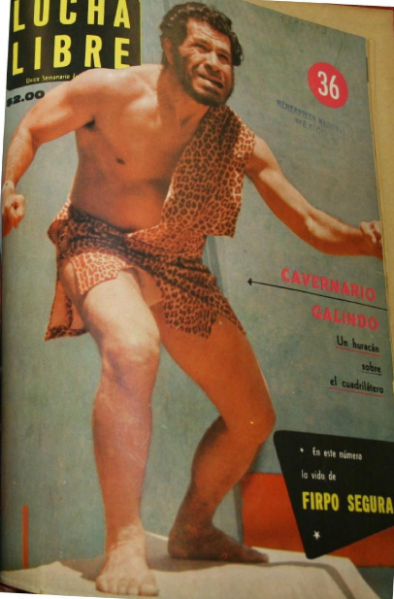 Lucha Libre Volume 36 Magazine PWcatalog