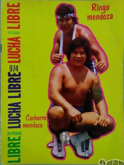 Lucha Libre Volume 974 Magazine PWcatalog