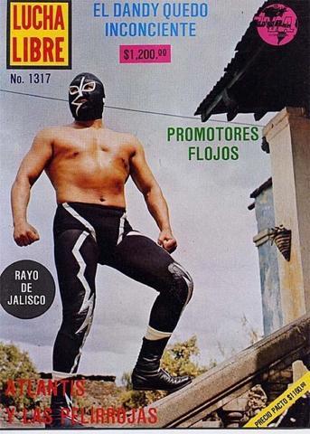 Lucha Libre Mundial Volume 1317 Magazine PWcatalog