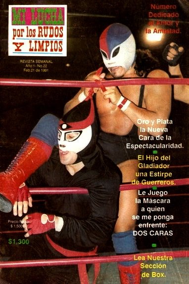 Mi Lucha 22 Magazine PWcatalog