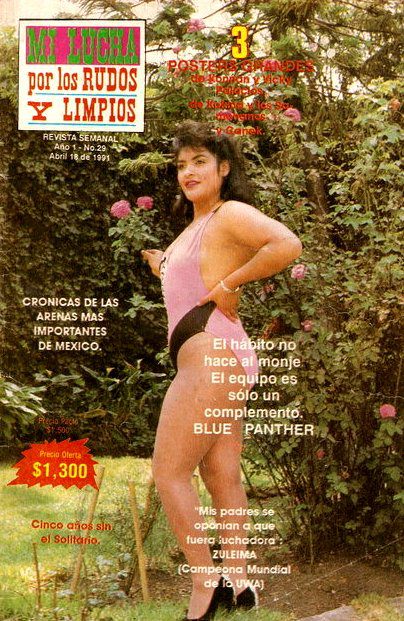 Mi Lucha 29 Magazine PWcatalog