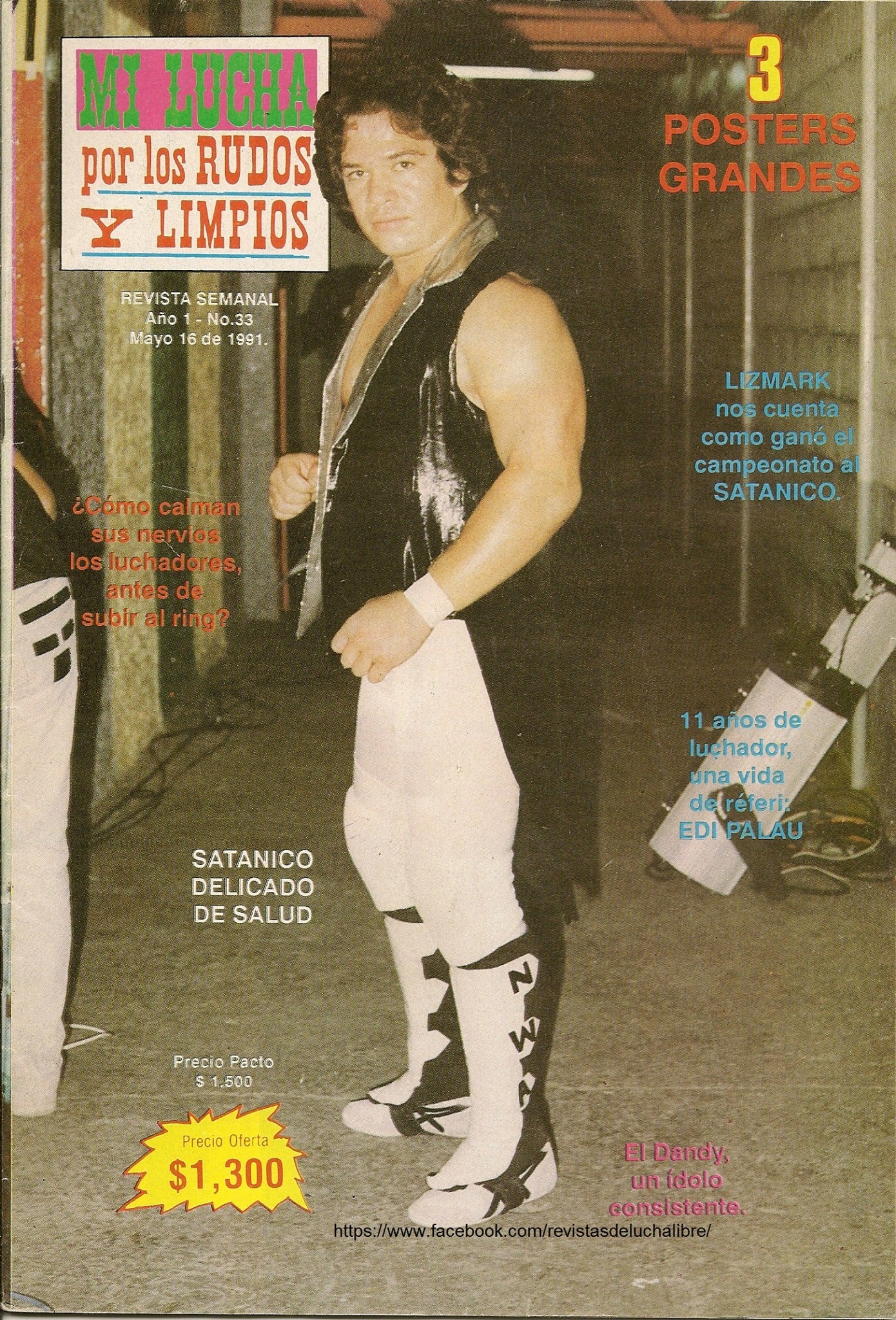 Mi Lucha 33 Magazine PWcatalog