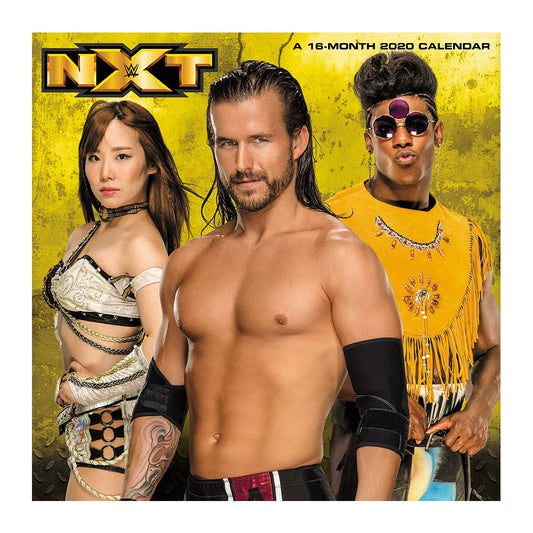 NXT Superstars 2020 Wall Calendar Pwcatalog