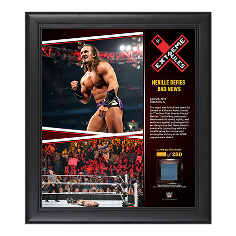 Neville Extreme Rules 2015 15 x 17 Framed Ring Canvas Photo Collage Pwcatalog