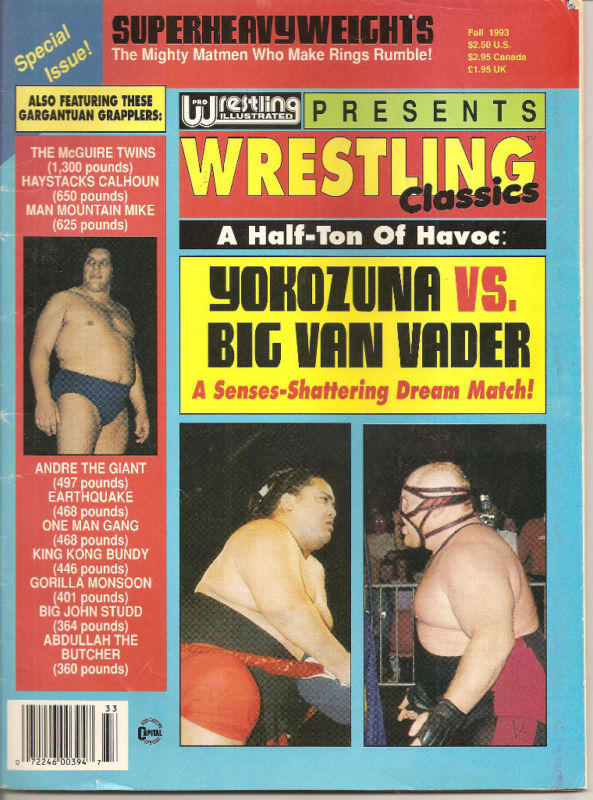 Pro Wrestling Illustrated 1993 Magazine PWcatalog