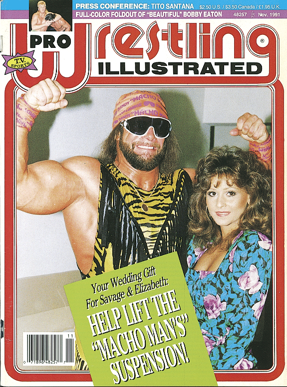 Pro Wrestling Illustrated November 1991 Magazine PWcatalog