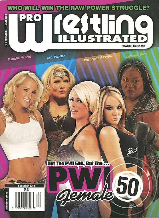 Pro Wrestling Illustrated November 2008 Magazine PWcatalog