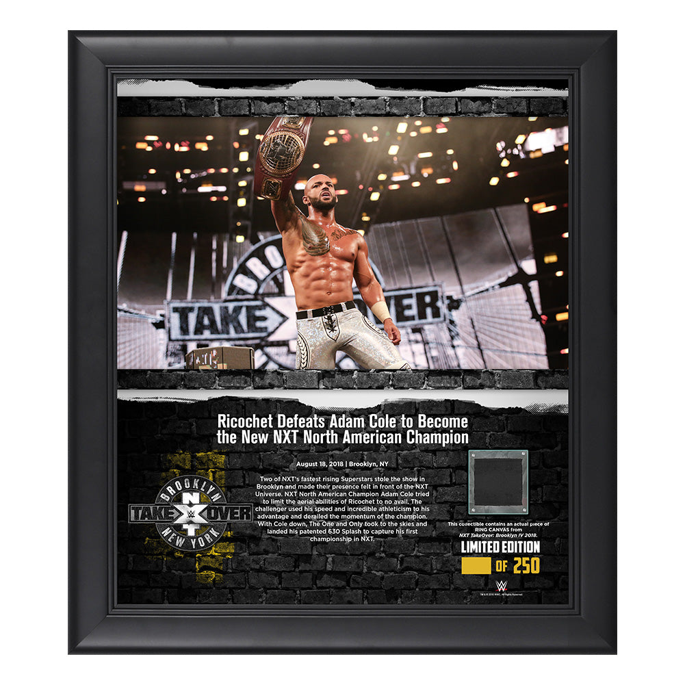 Ricochet NXT TakeOver Brooklyn 2018 15 x 17 Framed Plaque w Ring Canvas Pwcatalog