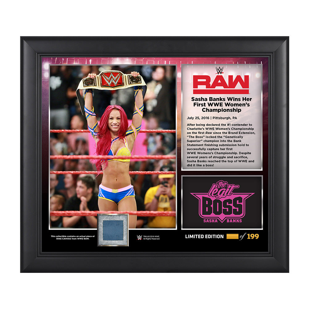 Sasha Banks WWE Women's Championship 15 x 17 Commemorative Photo Plaque Pwcatalog