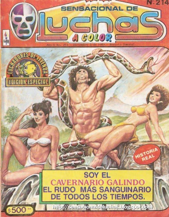Sensacional de Luchas Vol 214 Magazines & Newspapers PWcatalog