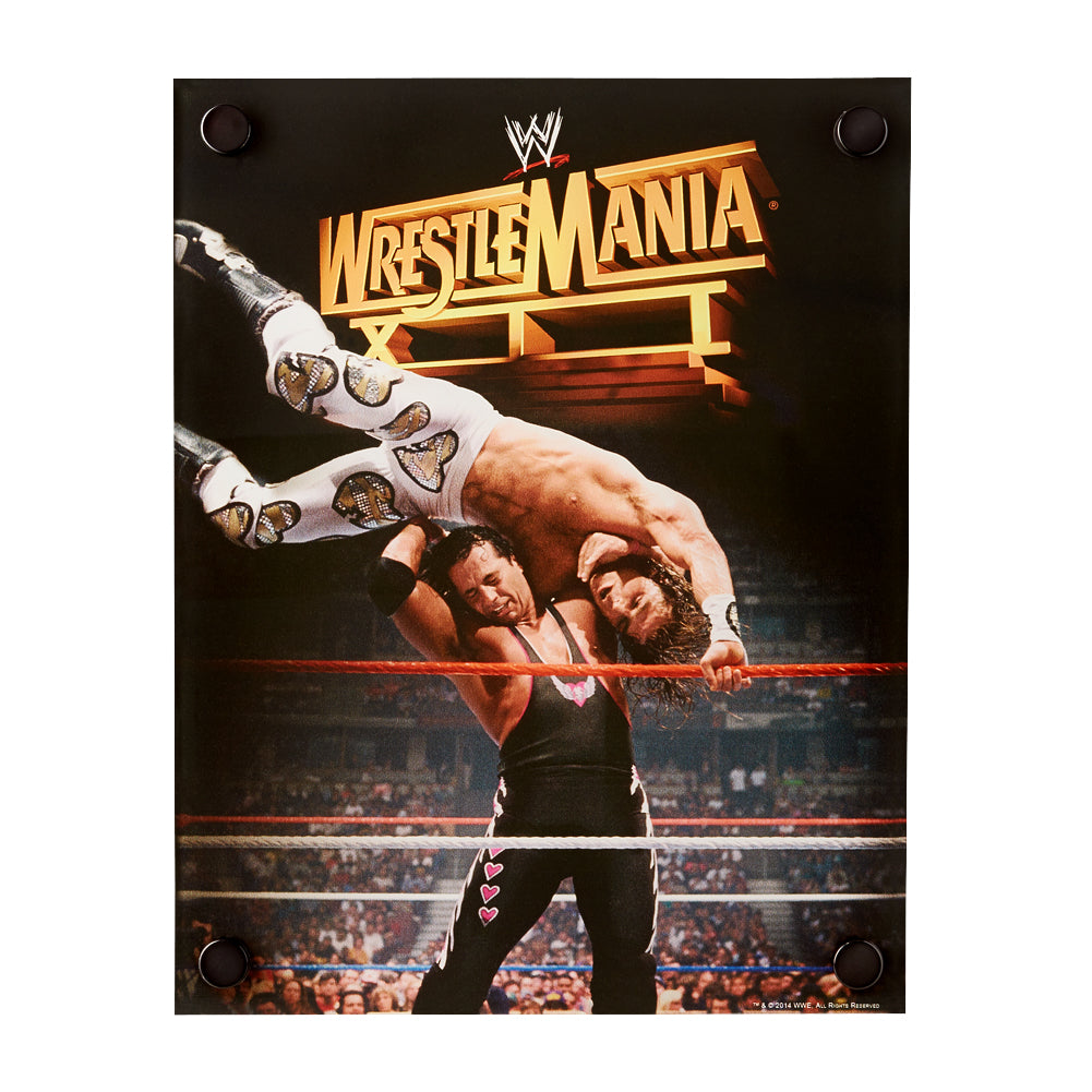 Shawn Michaels & Bret Hart WrestleMania XII Acrylic Wall Art Pwcatalog