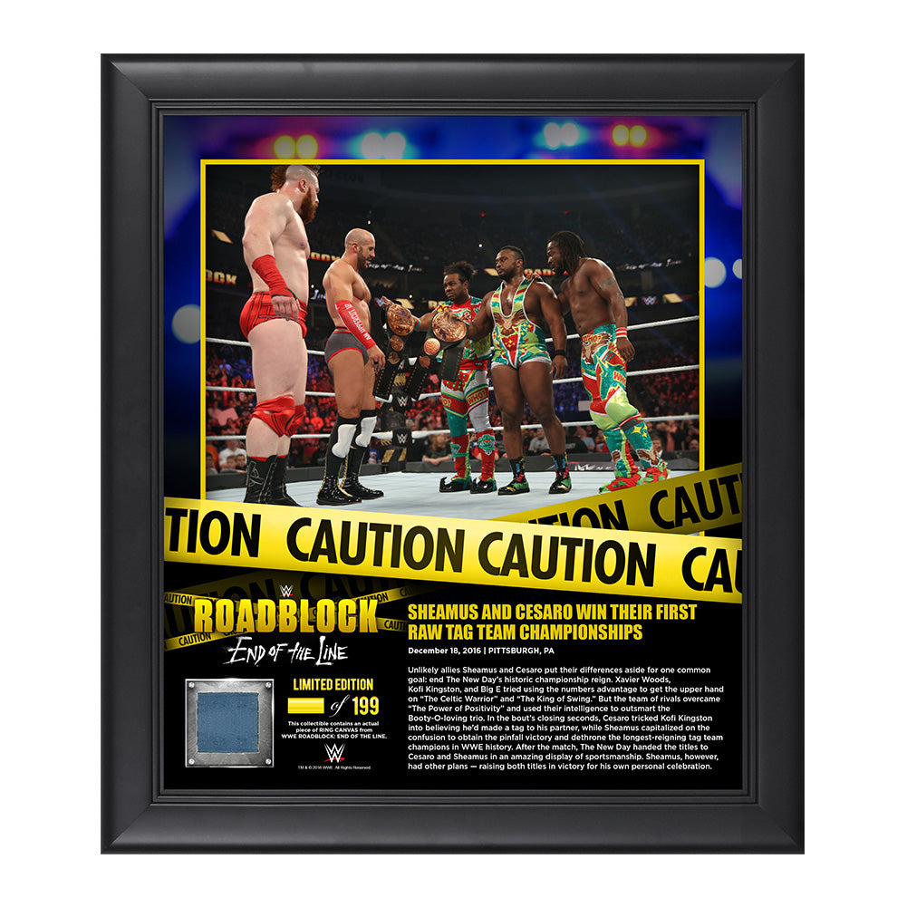 Sheamus & Cesaro RoadBlock 2016 15 x 17 Framed Plaque w Ring Canvas Pwcatalog