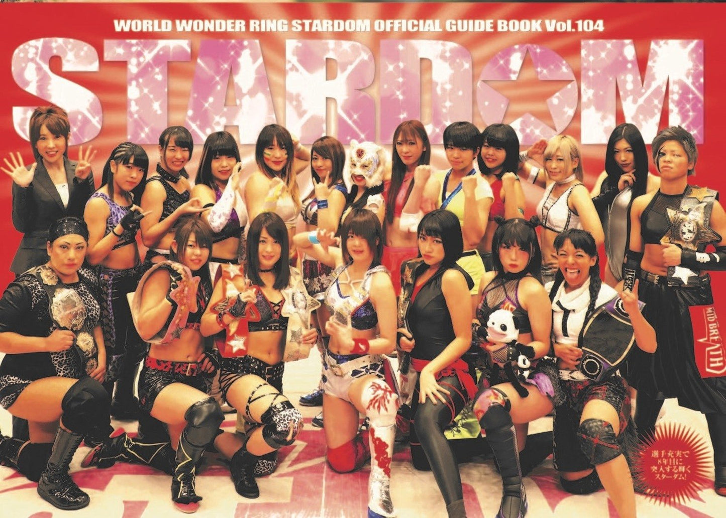 Stardom Guide Book 104 Magazine PWcatalog