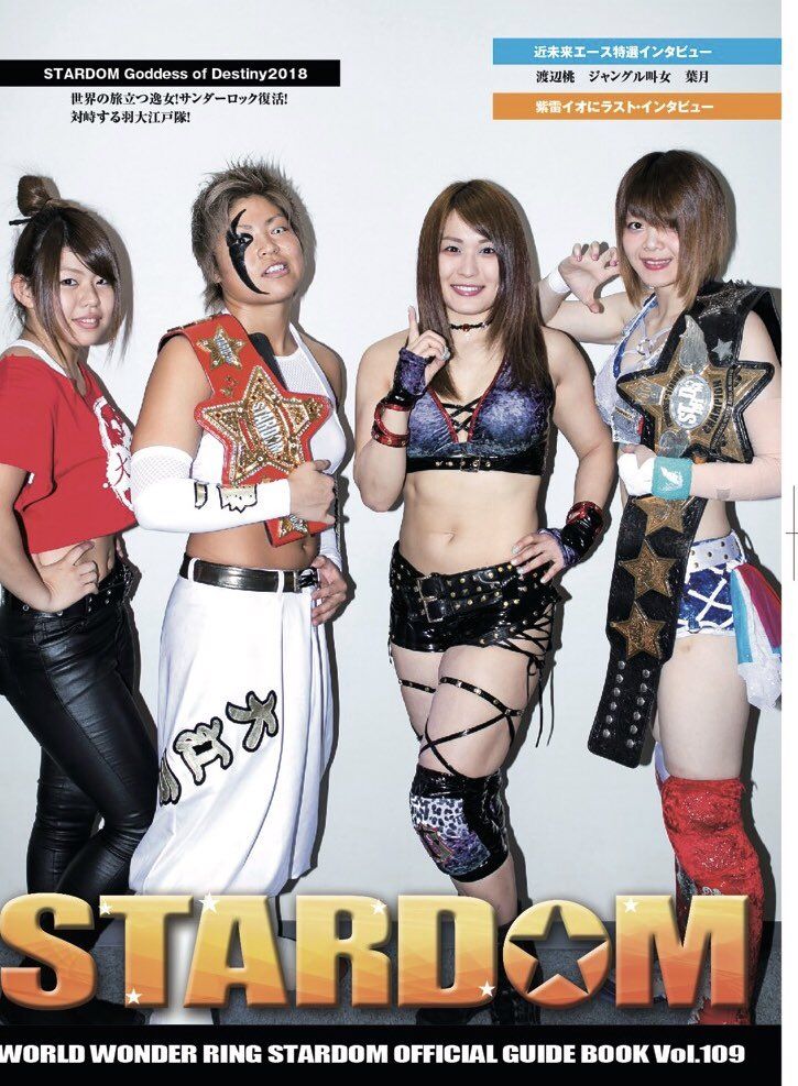Stardom Guide Book 109 Magazine PWcatalog