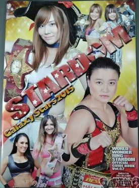 Stardom Guide Book 62 Magazine PWcatalog