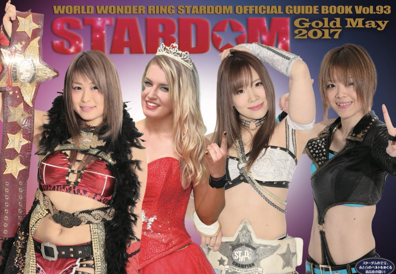 Stardom Guide Book 93 Magazine PWcatalog