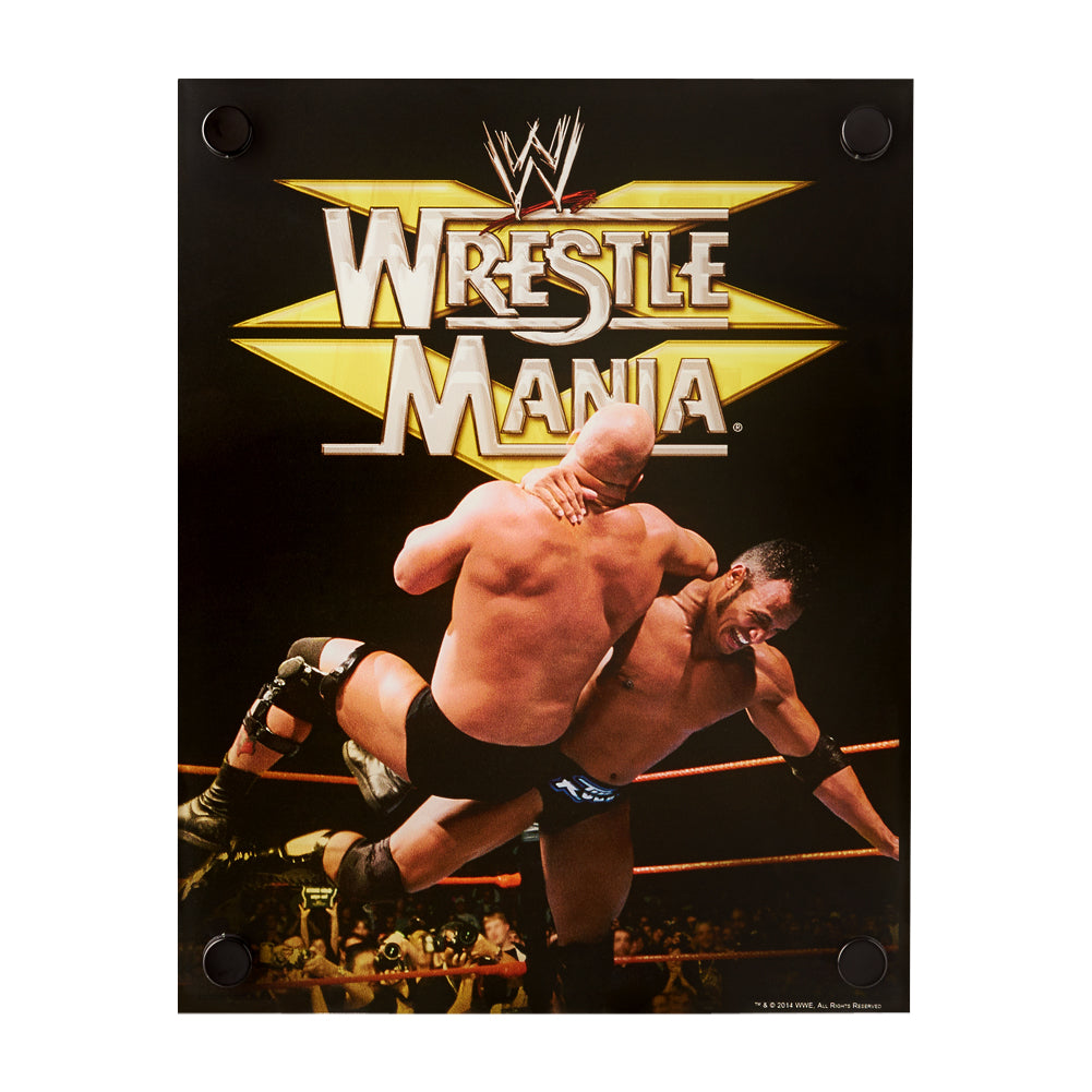 Steve Austin & The Rock WrestleMania XV Acrylic Wall Art Pwcatalog