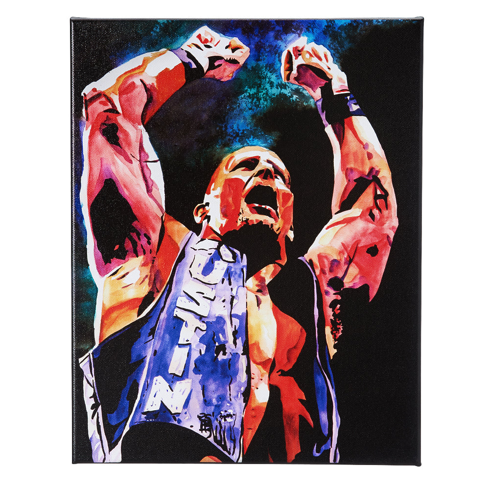 Steve Austin 11 x 14 Gallery Wrapped Canvas Wall Art Pwcatalog