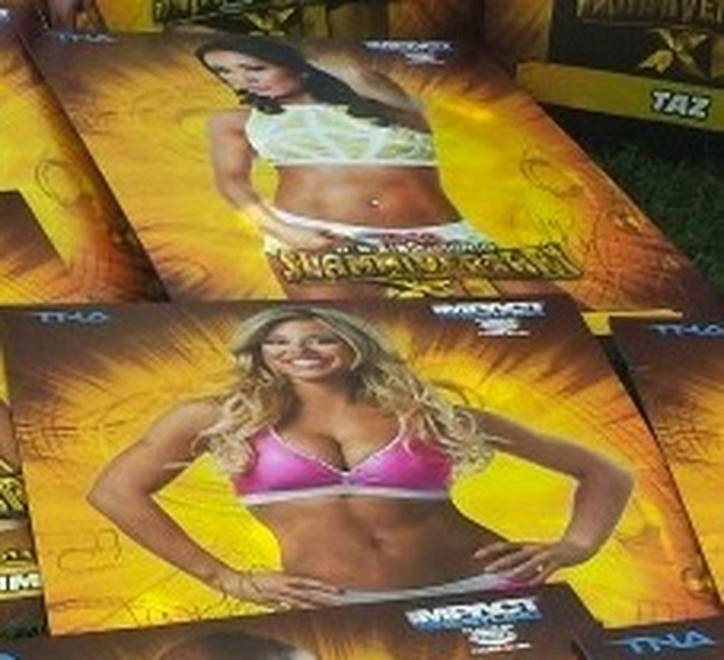 2013 Taryn Terrell/ Gail Kim PW Catalog